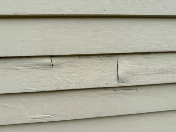 Best Wood Siding Installation  in Catawba, SC